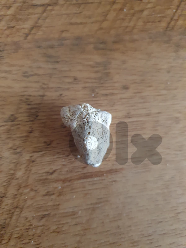 special rock