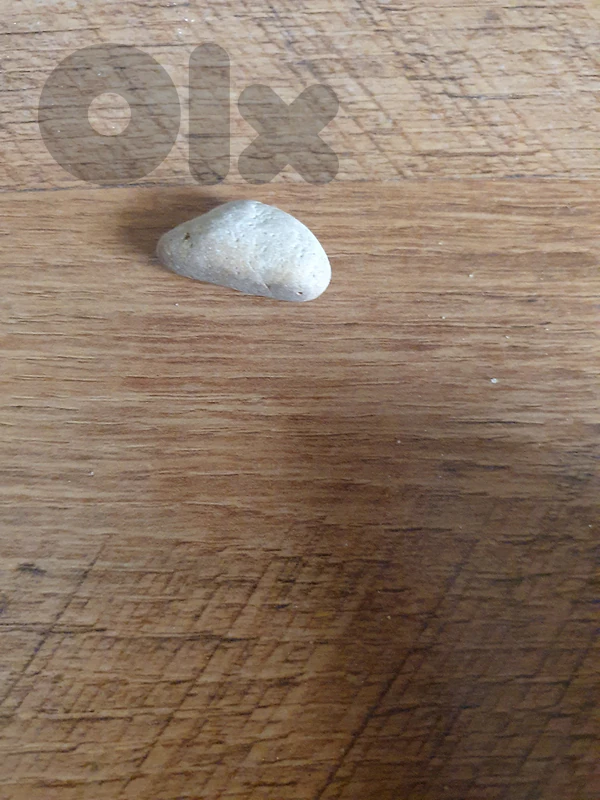 special rock