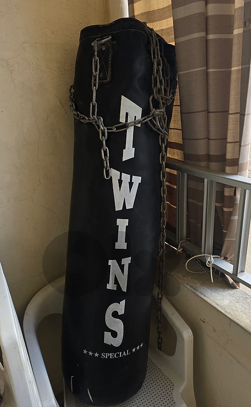 Twins Boxing bag