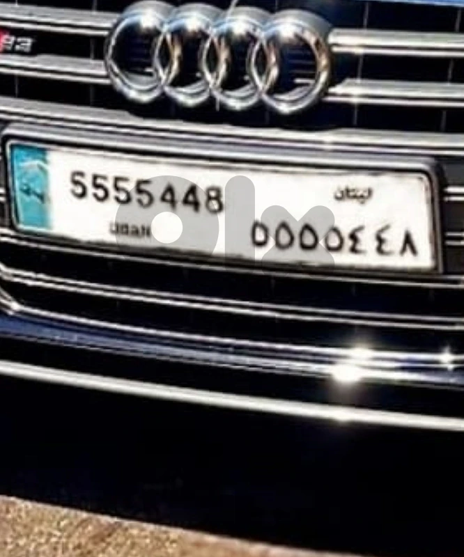 5555448A