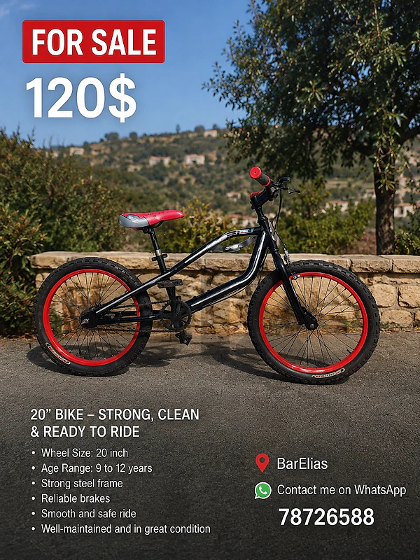 Bicycle 20 inch