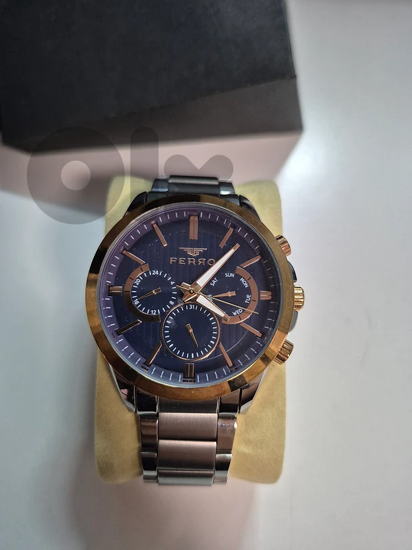 FERRO Men's Multifunction Stainless Steel Watch