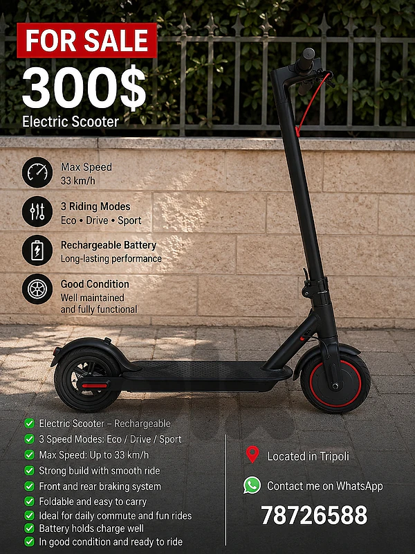 electric scooter