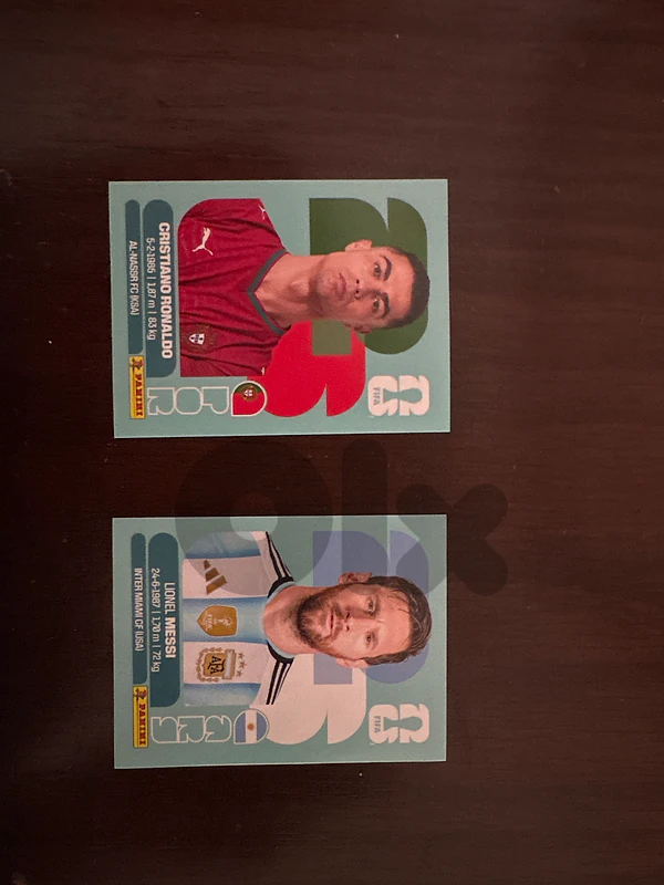 panini extra