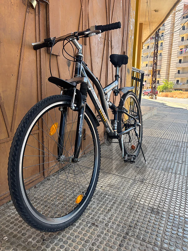 that is bike made in  Germany it have full suspension   and gears