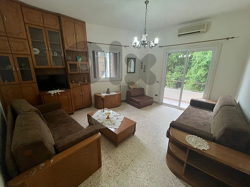 apartment for rent in ain saadeh