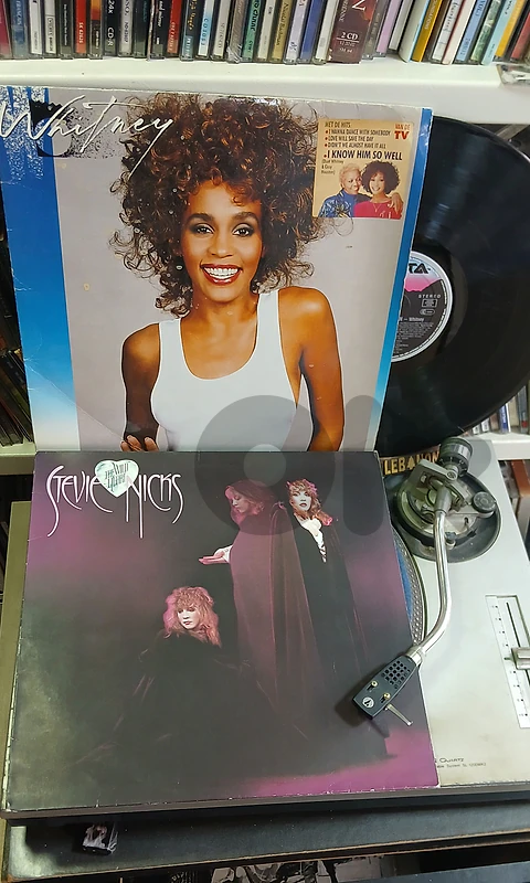 whitney houston- stevie nicks