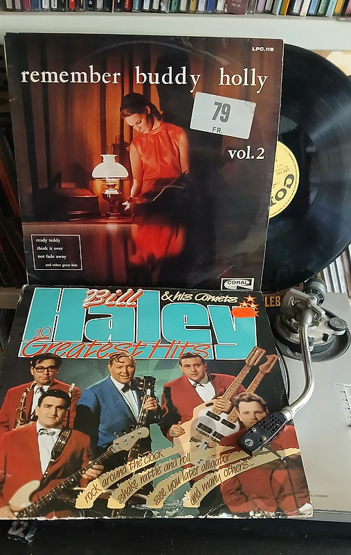 buddy holly/ bill haley - vinylrecords