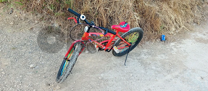 bicycle 20