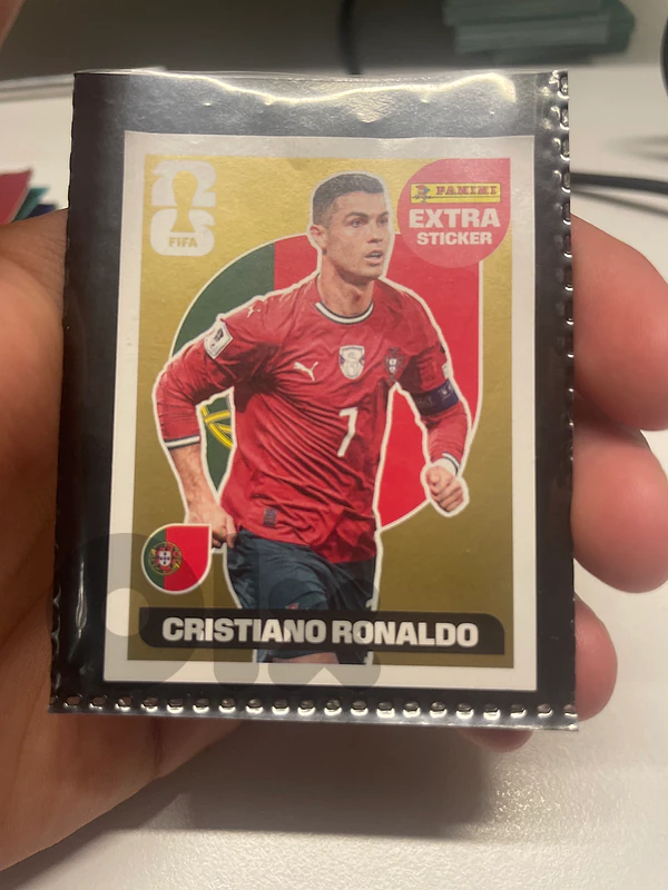 panini