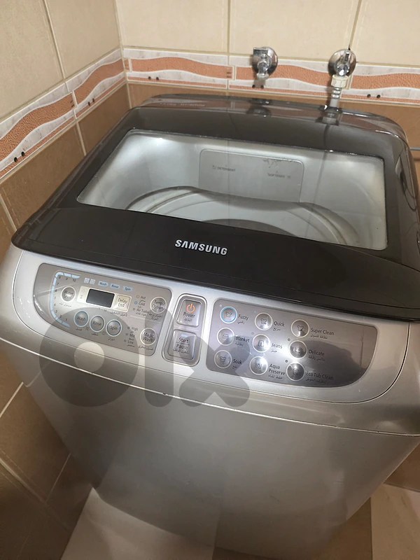 washing machine inverter