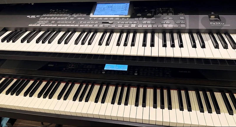 korg pa3xLe + Korg Havian 30