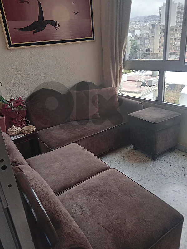 الجديدة -