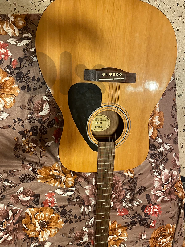 Yamaha F310P
