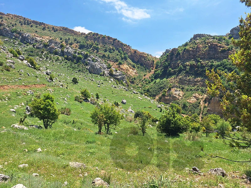 GMB374SZ - Land for sale in Qartaba - أرض للبيع في قرطبا