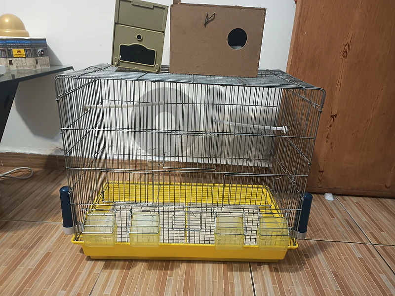 Big bird cage