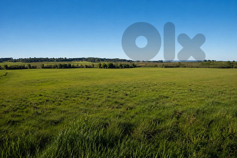 Land For Sale in Ghosta – Keserwan أرض للبيع في غوسطا CPDD55