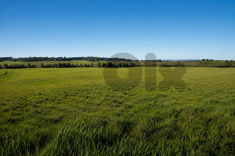 Land For Sale in Blaybel أرض للبيع في بليبل CPDD49