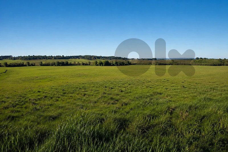 Land For Sale in Dbayeh أرض للبيع في ضبية CPDD15