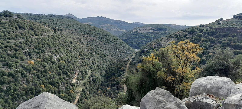 land for sale in Assia أرض للبيع في أسيا