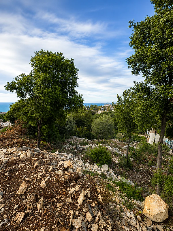 Land for sale in Thoum – Batroun أرض للبيع في "تحوم" – البترون