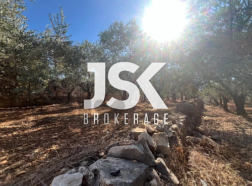 L21708 Land with Trees For Sale in Amioun, Koura