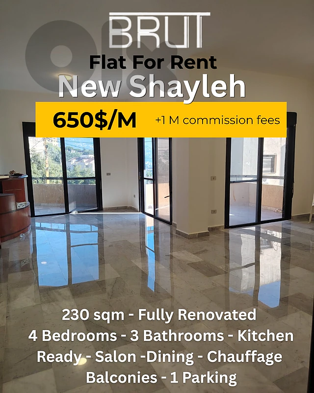 230 sqm Apartment for Rent in New Sheileh -Fully Renovated