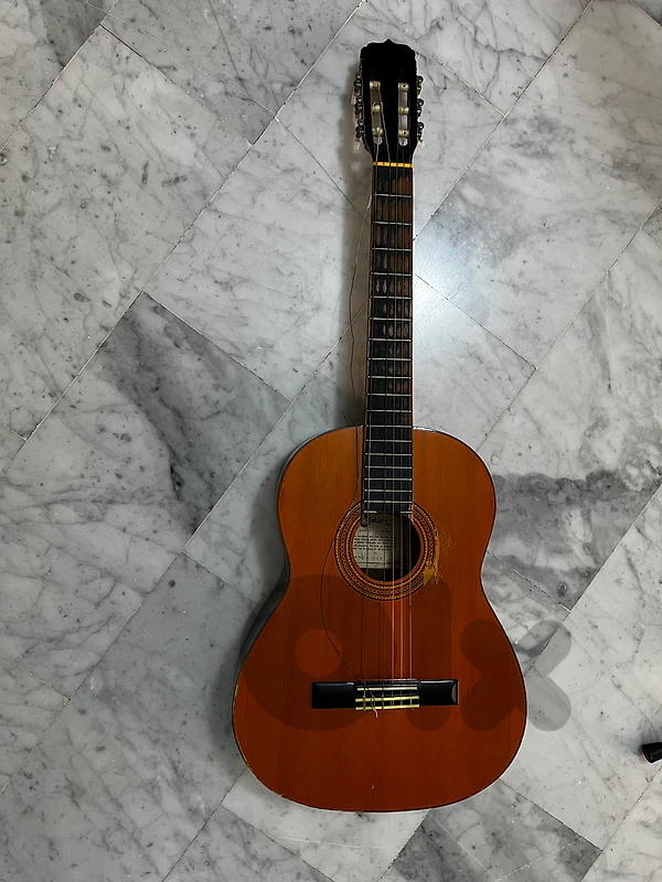 Classical Guitar - Century CG 560