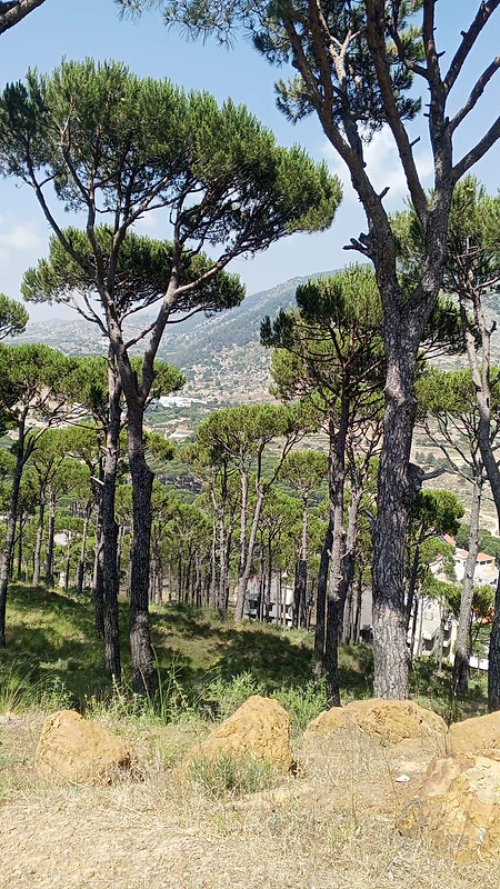 أرض للبيع في الشوف عين زحلتاland for sale in ain zahlta