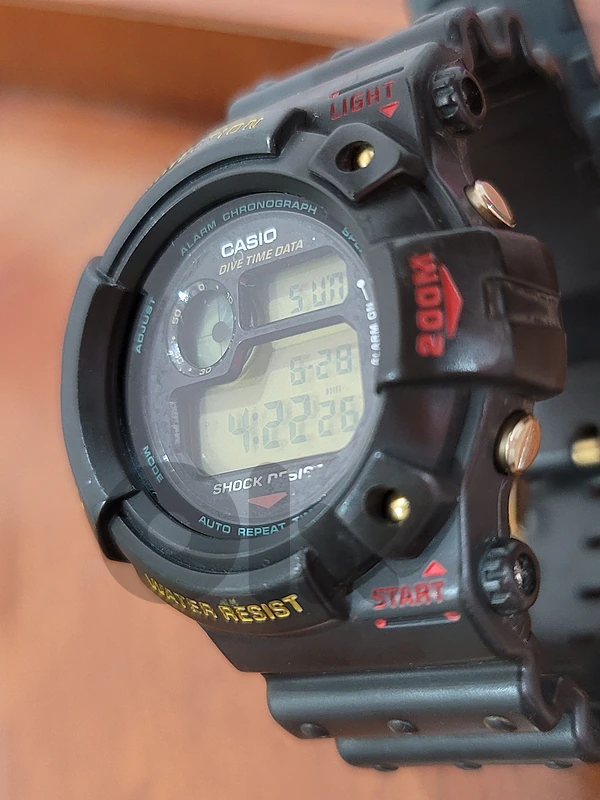 Casio G-Shock frogman
