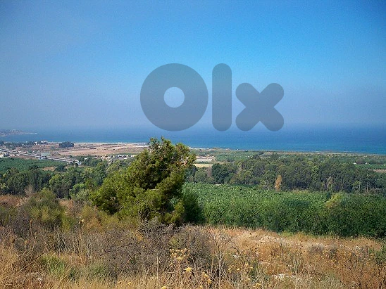 Land for Sale in Damour