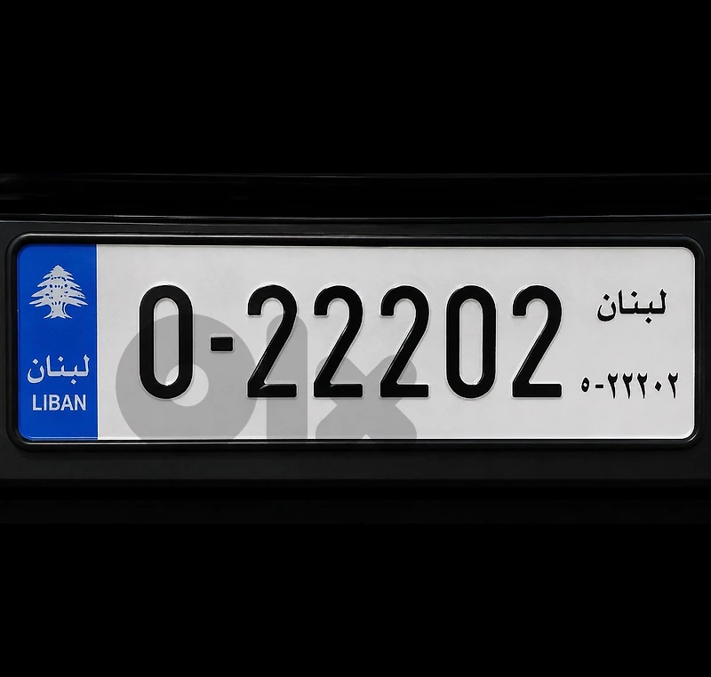 Special 5 digit number O-22202