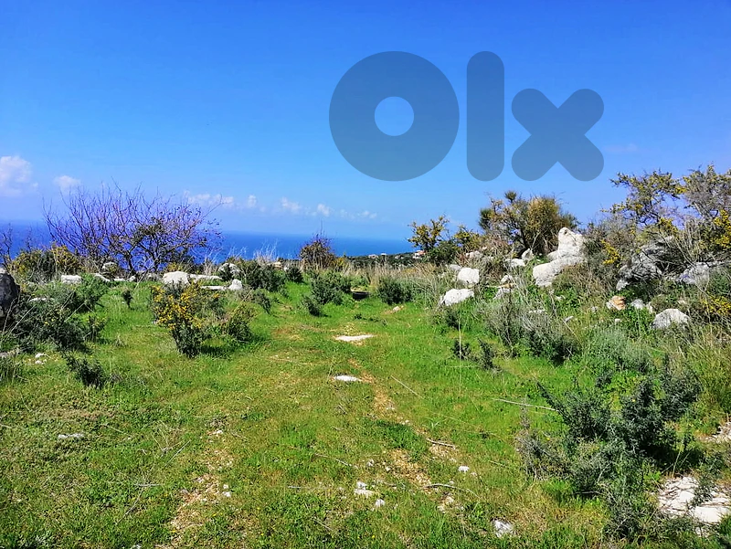 Land For Sale In Chikhane Jbeil | Panoramic View | أرض للبيع |PLS26553