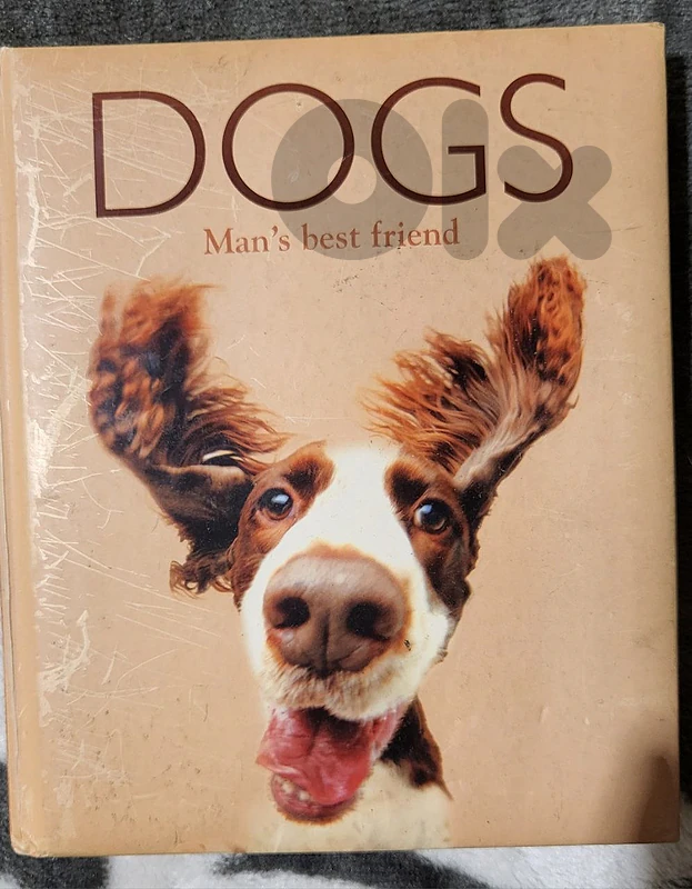 Dogs Man's Best Friend