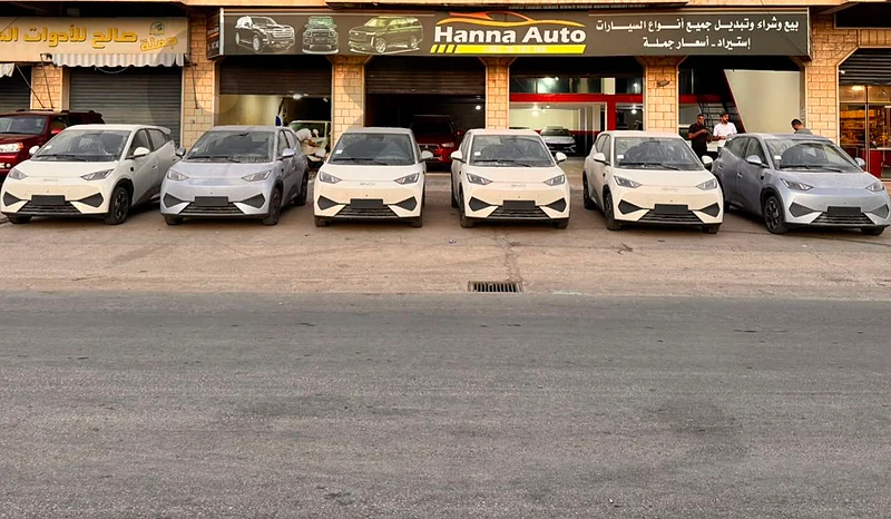 BYD Seagull SMART 12 CAMERAS 29 Sensros BIG BATTERY ONLY IN HANNA AUTO