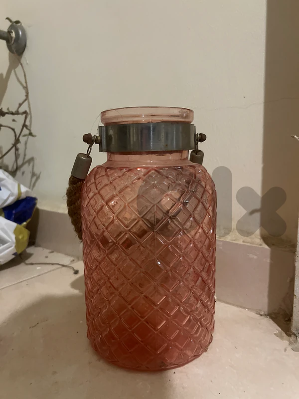 red crystal vase for plants