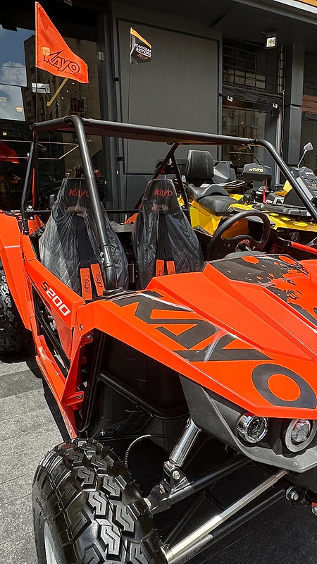 Buggy New Utv Atv