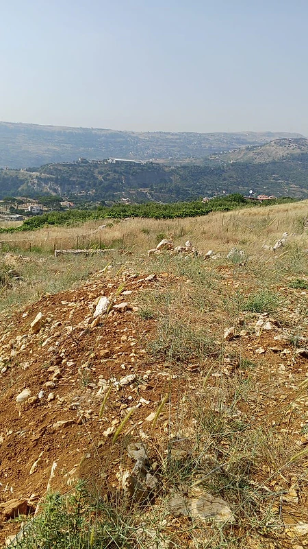 أرض في عين زحلتا الشوف land for sale in chouf