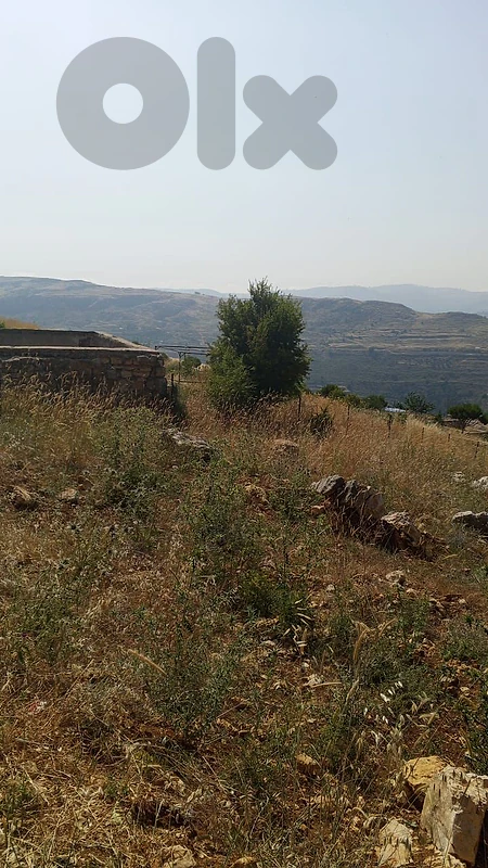 أرض في عين زحلتا الشوف land for sale in chouf