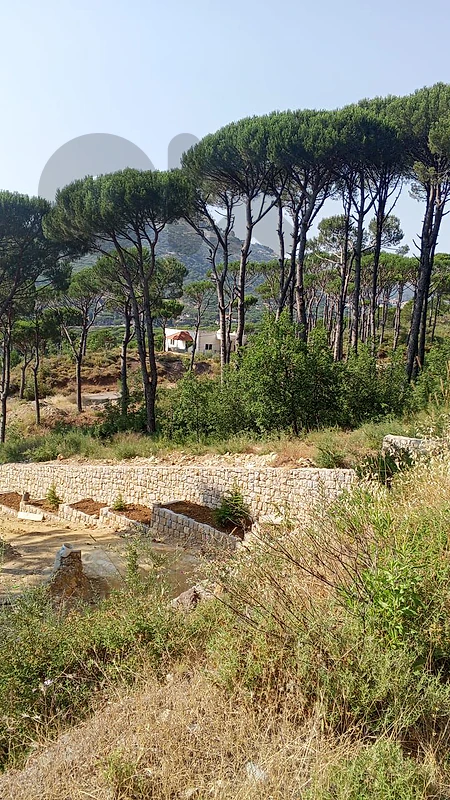أرض للبيع في نبع الصفا الشوف land for sale in chouf