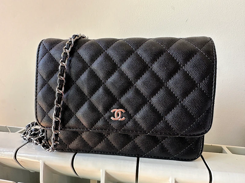 Chanel wallet on chain bag