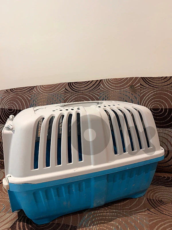 pet crate