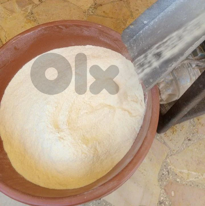 كـشـك