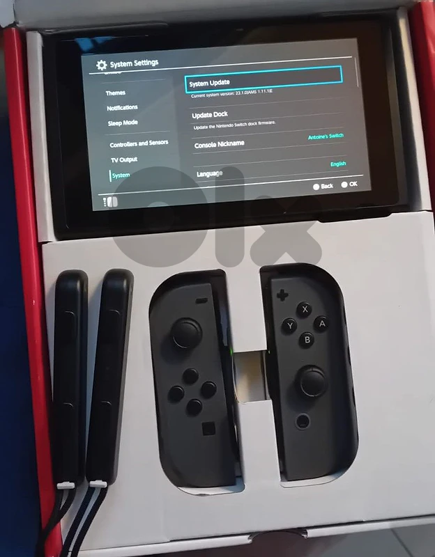 Nintendo Switch V2 Modded