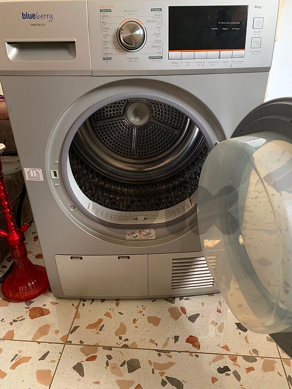 Blueberry dryer