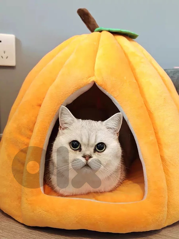 Pumpkin pet bed for cats and dogs