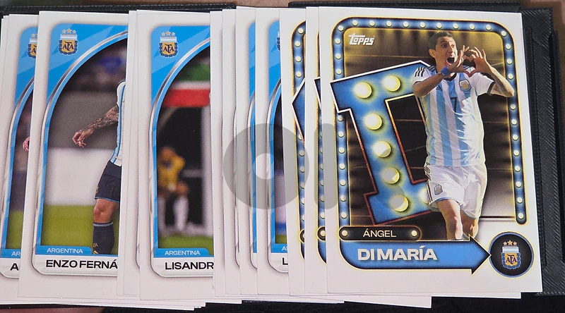 Argentina Bundle (23 Cards) – Mint / No Duplicates