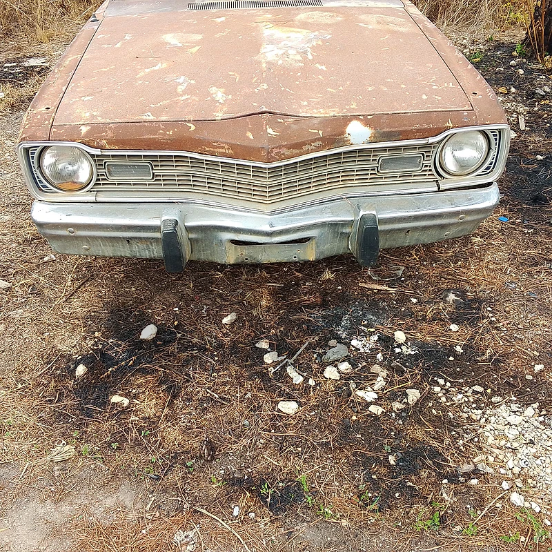 Dodge Other 1973 dart