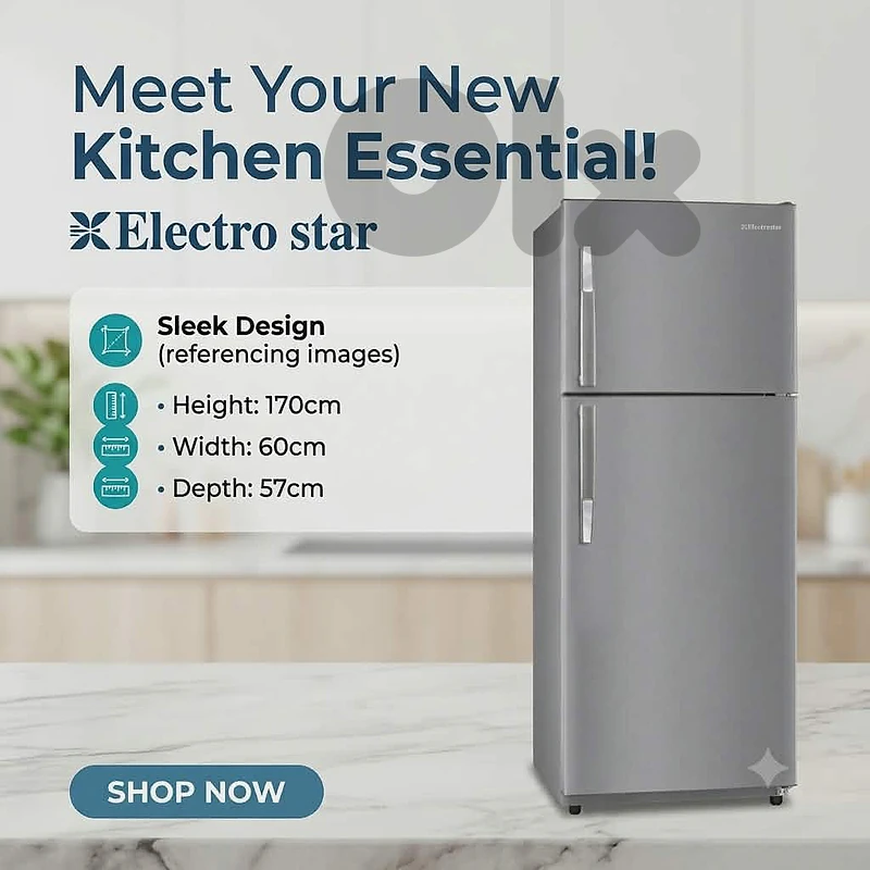 fridge inverter de frost  Electro star, براد انفرتر