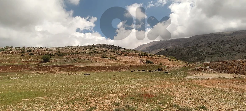 أرض للبيع في راشيا/جبل الشيخLand for sale in Rachaya/Jabal el Sheikh
